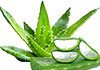 aloe vera for psoriasis