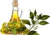 camphor for psoriasis