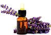 lavender oil for psoriasis